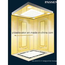 Ascenseur de passager avec miroir gravé en acier inoxydable (JQ-N027)